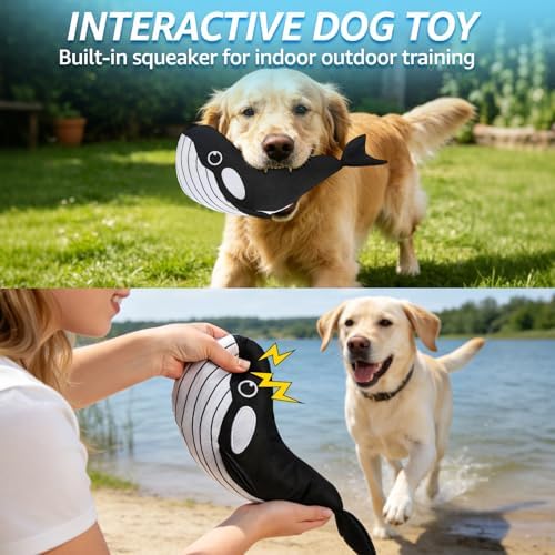SCENEREAL Floating Dog Pool Toys for Water Fetch, 2 Pack Squeaky Dog Toys for Training, Interactive Summer Outdoor, Whale & Donut Shape Pet Chew Toy for Large Small Medium Dogs
