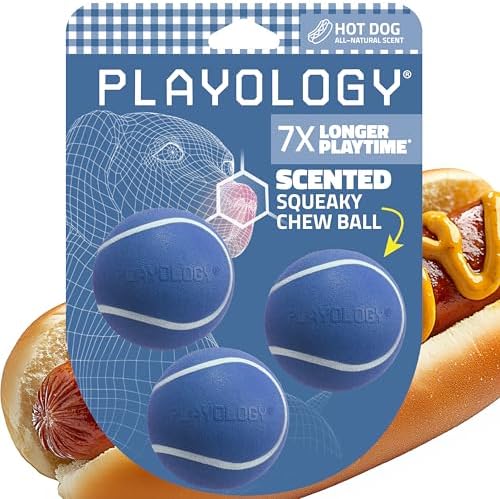 Playology Squeaky Chew Ball Dog Toy - Small, Hot Dog Scent, 3-Pack