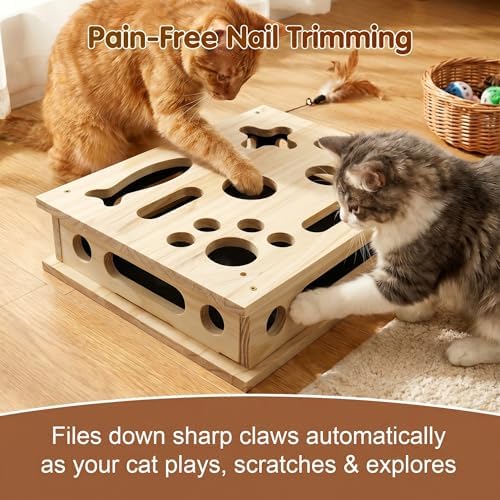 2026 NEW Cat Nail File Scratcher, Cat Scratch Puzzle Enrichment Box with Sandpaper for Cat Claw Care, Stress-Free Trimming Nails, Puzzle Feeder Cat Toys Interactive for Indoor Cats (No Bell Balls)