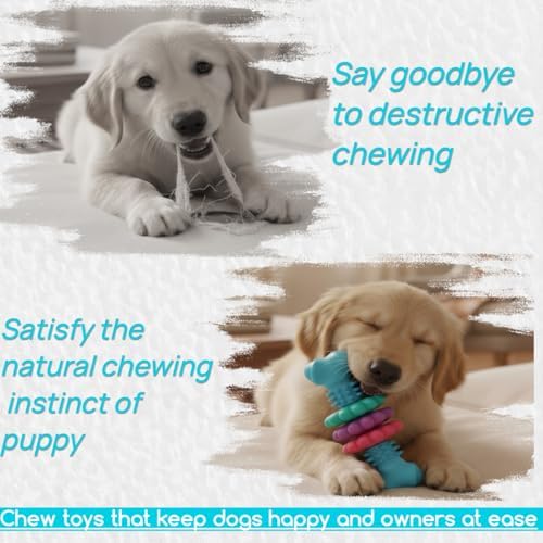 Puppy Teething Toy, Durable Chew Toy for Small Dogs, Interactive Bone Toy to Keep Puppies Busy, Teeth Cleaning Dog Toy for Small Breeds