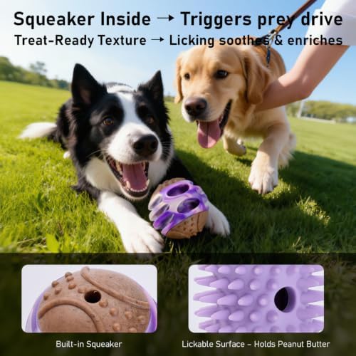 MECOOL 2PCS Durable Dog Chew Toys, Squeaky Chew Ball & Treat Dispensing Toy, Tough Nylon Ends & Natural Rubber for Aggressive Chewers, Interactive Puzzle Toys for All Breed Dogs,Bacon Flavored,Purple