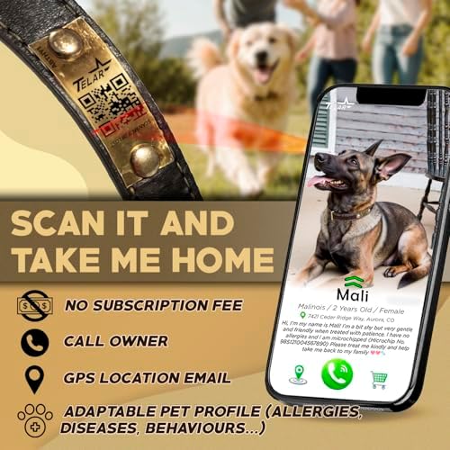 Personalized QR Code Dog Collar - Durable Genuine Leather Pet Collar with Engraved Smart ID Tag, Personalized Dog Collar with Name and Phone Number, Soft Padded Adjustable Neck Strap, Brown