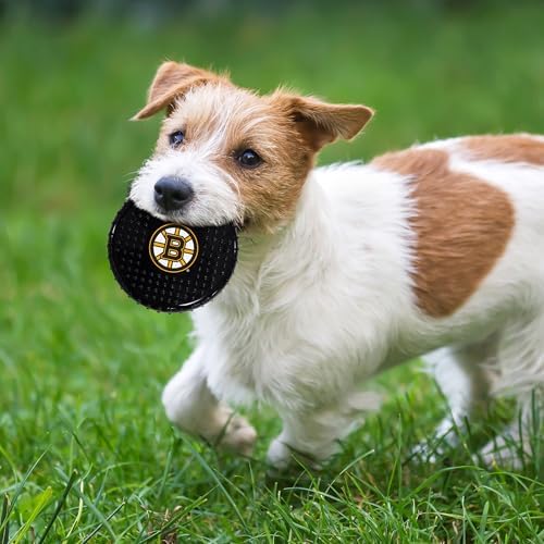 Pets First NHL Boston Bruins Hard-Nylon Bacon-Flavored Hockey-Puck Chew Toy, Indestructible Dog and Cat Chewy Toy, Tug, Fetch Toy, Sporty Fun Toy for Dogs