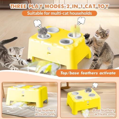 Wortade 2-in-1 Automatic Cat Toy, Interactive Cat Toy for Indoor Cats