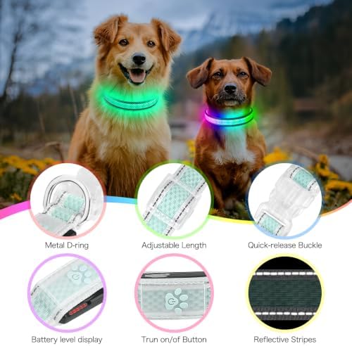 Flashseen Light up Collars for Dogs at Night, RGB 9-Mode, USB Rechargeable | Color Changing LED Lighted Dog Collar, Super Bright Adjustable Glow Collar for Night Walking (Cyan, Small)