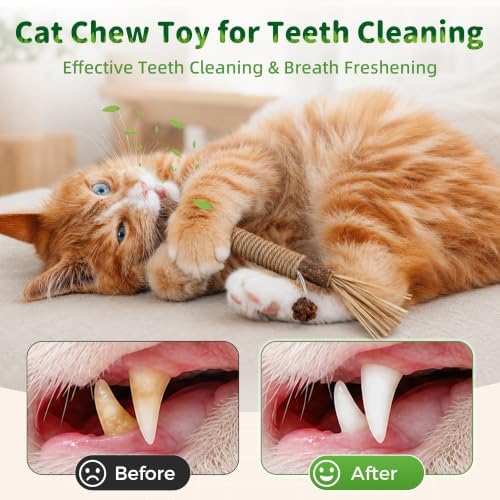 GBSYU Silvervine Sticks Cat Kitten Chew Toys for Indoor Cats Teeth Cleaning