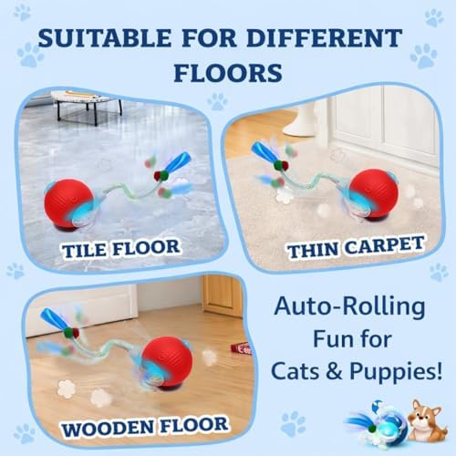 Interactive Cat Toys for Indoor Cats – Motion Activated Automatic Cat Ball with SpeedyTail, 3 Play Modes, Rechargeable LED Rolling Ball, Kitten Toys for Bored Indoor Cats, Smart Cat Enrichment Toy