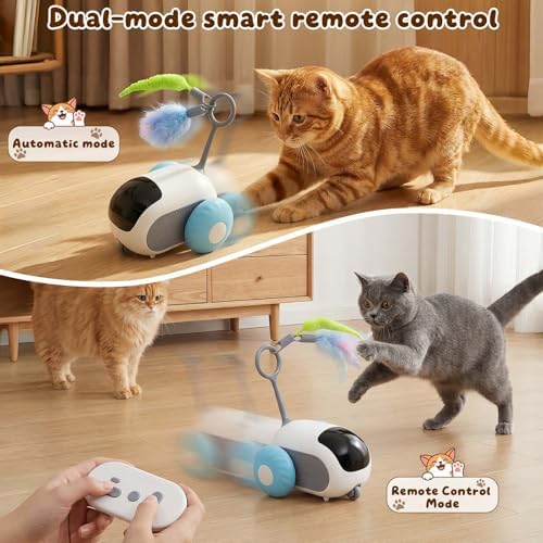 Interactive cat Toy, Rechargeable, Automatic Moving Kitten Toy(Blue)