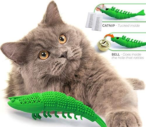 Smokey's Stash Cat Toy Interactive Catnip Dental chew cat Toothbrush refillable with Bell and Extra Catnip