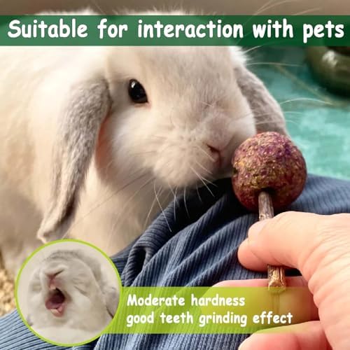 kathson 20PCS Rabbit Timothy Hay Treats Sticks,Interactive Bunny Lollipop Chew Sticks,Natural Guinea Pigs Chewing Treats Molar Teeth Toys for Small Animals,Chinchilla,Hamster,Gerbil