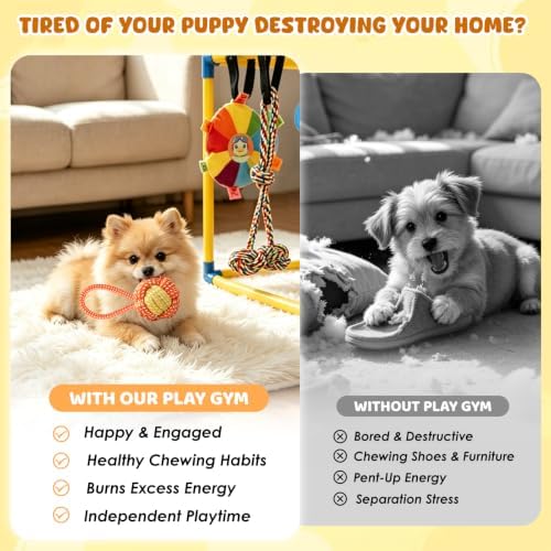 XIAPIA Puppy Play Gym with 14 Hanging Toys, Indoor Puppy Gym for Small Dogs