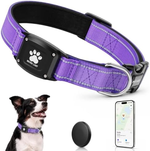 GPS Dog Collar with Tracker, Waterproof, No Monthly Fee, Purple, XS