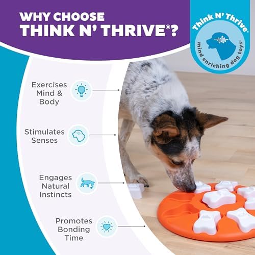 Outward Hound Nina Ottosson Dog Smart Dog Toy Treat Puzzle, Enrichment, 11"