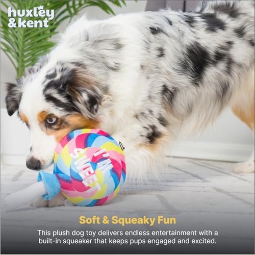 Huxley & Kent Funny Dog Toy w/Squeaker – Power Plush Squeaky Dog Toys for Small, Medium & Large Dogs – Soft Stuffed Animal for Indoor Play & Fetch - I'm Sweet Lollipop, Small