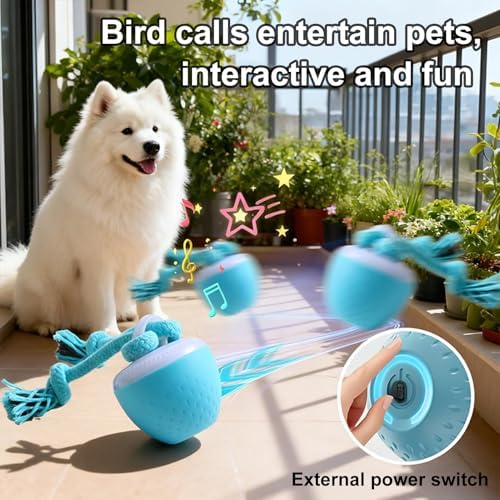 Interactive Dog Toys for Small Dogs – Peppy Pet Ball & Chase Buddy Dog Toy Active Rolling Puppy Toys to Keep Them Busy, Daily Training Interactive Puppy Toys