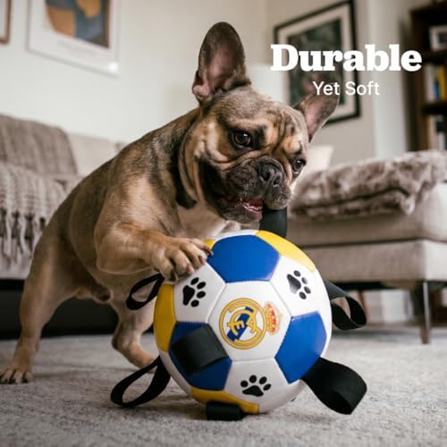 Interactive Dog Soccer Ball for Dogs, 6” with Straps & Grab Tabs, Floats on Water, Fetch & Training Toy for Small/Medium Dogs, Herding Breeds, Waterproof Non-Toxic – ProBall Pets – Real Madrid