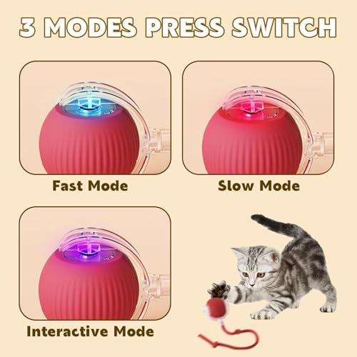 2 Pack Interactive Cat Puppy Toy Balls with Tail for Indoor