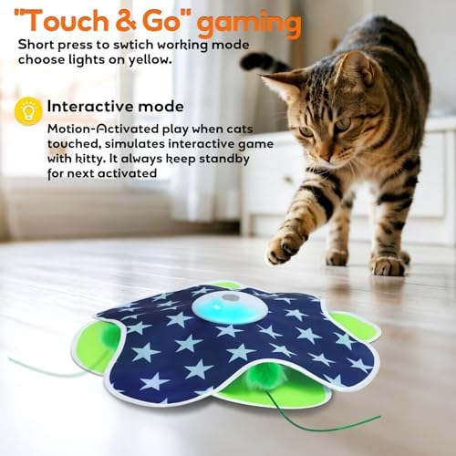 Oxawo Interactive Cat Toys for Indoor Cats Kittens Mat Toy