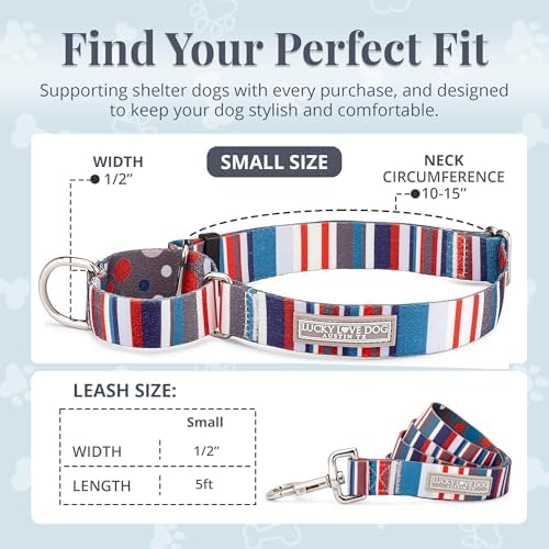 Lucky Love Dog Martingale Collar & Leash Set No Slip Cute – Linus, Small