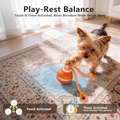 Interactive Dog Toys Ball, 3 Modes & Powerful Motor, Random Movement & Swinging Rope, Bird Chirping Stimulate, USB C Rechargeable for Small Medium Dogs for Boredom, Anxiety Relief