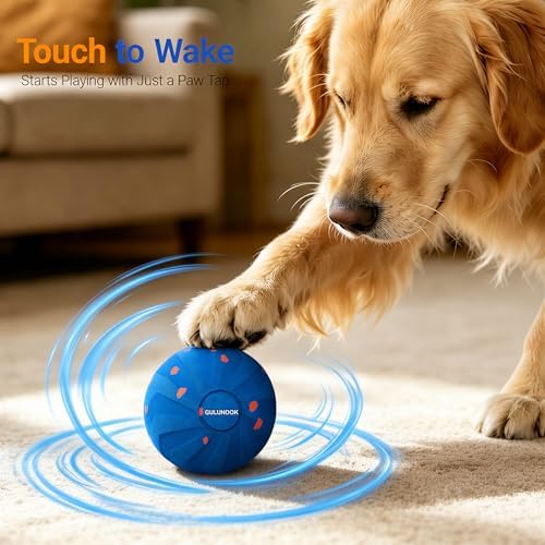 Interactive Dog Ball Toy, Automatic Rolling & Bouncing, 3.2" Blue, E-TPU