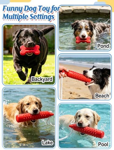 MEWTOGO 2 Pack Interactive Dog Pool Toys