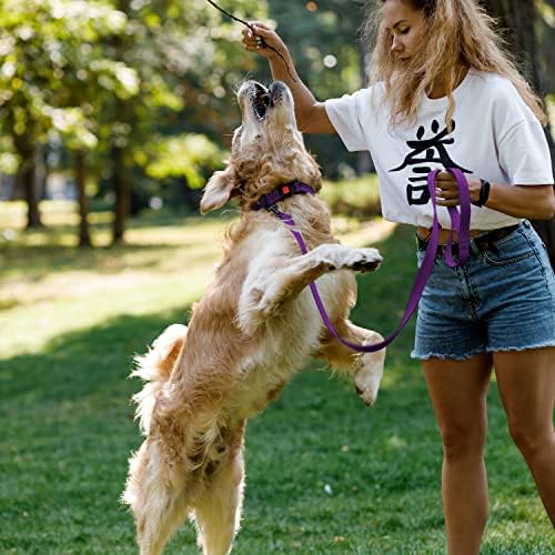 Reflective Dog Collar, Quick-Release Buckle (Purple, 18-26 Inch)