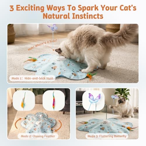 Interactive Cat Toys, Automatic Hide and Seek Feather Toy for Indoor Cats