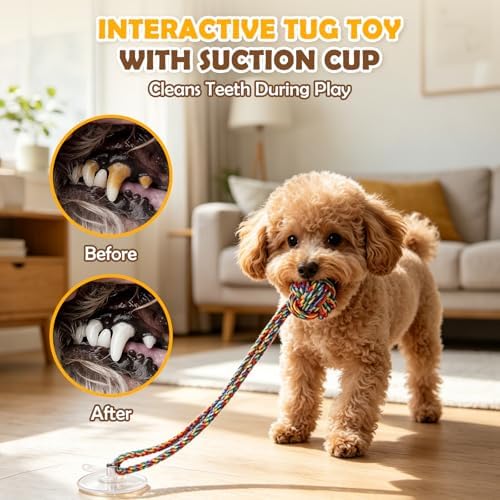 2PCS Dog Tug of War Toy with Suction Cup