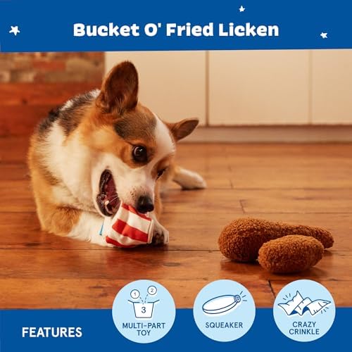 BarkBox Bucket O' Fried Licken 2-in-1 Interactive Plush Dog Toy