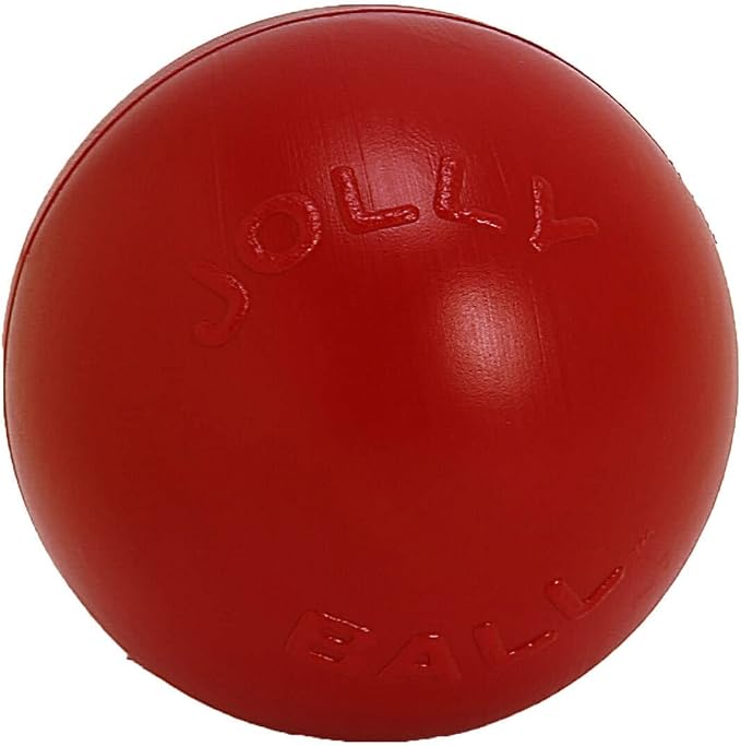 Jolly Pets Push-N-Play Large Dog Ball Toy, 10 in, Purple