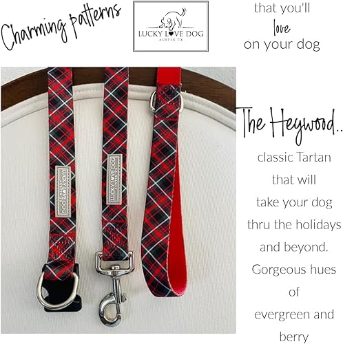 Lucky Love Dog Martingale Collar & Leash Set No Slip Cute – Heywood, Large