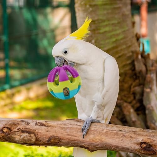 Hypeety Parrot Ball Toy Plastic Colorful Bird Chew Ball with Bells for Cage