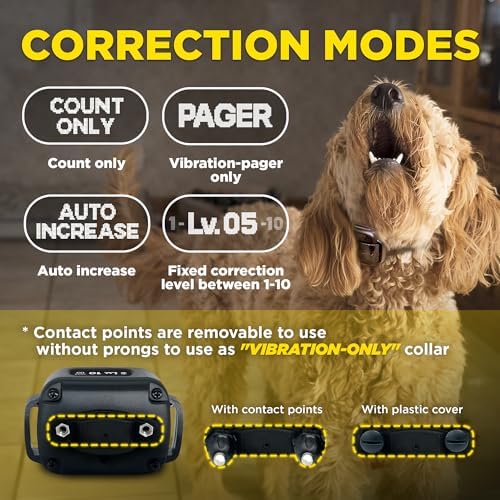 Dogtra Smart NOBARK with Titanium Contact 3/4" | Smart Bark Detection for Whining & Barking, 33 ft Range, App Notifications, Behavior Report, Waterproof, 10 lbs+, Ideal for Short-Haired Dogs