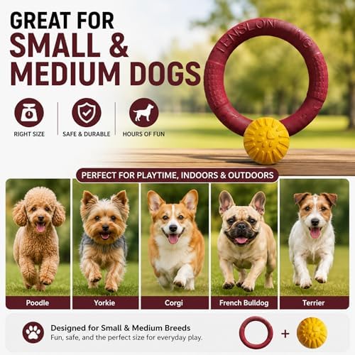 Floating Ring & Ball Combo Set, 2 Pack EVA Water Fetch Toys for Dogs, Durable Chew Tug Toy for Small Medium Large Dogs, Pool Beach Interactive Play (Red, Small)