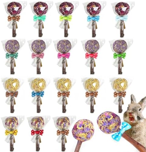 kathson 20PCS Rabbit Timothy Hay Treats Sticks,Interactive Bunny Lollipop Chew Sticks,Natural Guinea Pigs Chewing Treats Molar Teeth Toys for Small Animals,Chinchilla,Hamster,Gerbil