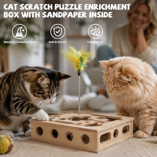 Cat Nail File Enrichment Box Scratch Puzzle Toy with Slot Lock Screws