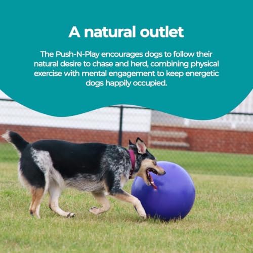 Jolly Pets Push-n-Play Ball Dog Toy, 14 Inches/Extra-Large, Blue (314 BL), for All Breed Sizes
