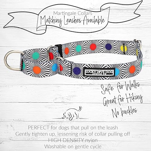 Lucky Love Dog Martingale Collar & Leash Set No Slip Cute – SOCO, Medium