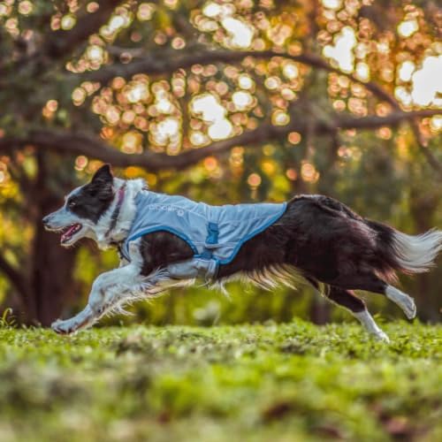 Kurgo Core Cooling Vest, Extra Large