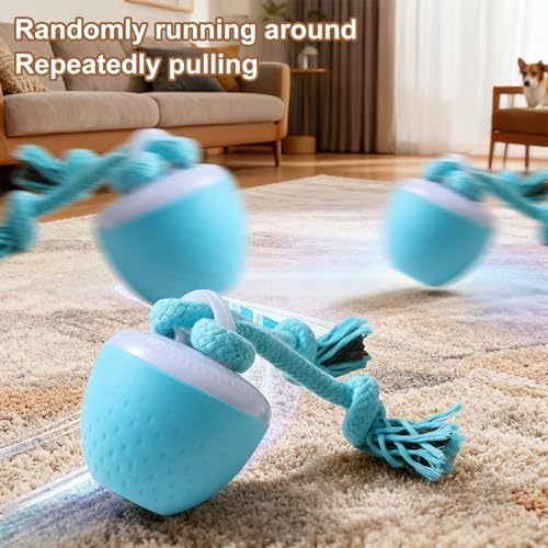 Interactive Dog Toys for Small Dogs – Peppy Pet Ball & Chase Buddy Dog Toy Active Rolling Puppy Toys to Keep Them Busy, Daily Training Interactive Puppy Toys
