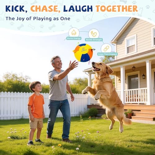 Small Herding Ball for Dogs, 9.8" Dog Soccer Ball with Straps