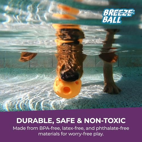 Multipet Breeze Balls for Dog - Bevel Tech Interactive Dog Toy w/Holes for Breathing - Flotable Ball for Dogs - Pet Toy for Chewing & Playing (1 Count, 3”, Random Color Surprise)