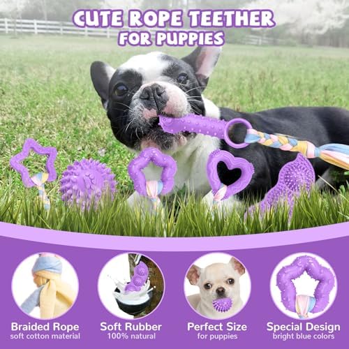 ABRRLO 6 Pack Puppy Teething Toys Cute Purple Puppy Chew Toys for Teething Small Breed Dog Chew Toy Interactive Pet Toy Set for Puppies to Keep Them Busy Soft Durable Small Breed Doggy Chewing Ball