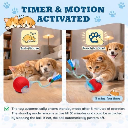 Interactive Cat Toys for Indoor Cats – Motion Activated Automatic Cat Ball with SpeedyTail, 3 Play Modes, Rechargeable LED Rolling Ball, Kitten Toys for Bored Indoor Cats, Smart Cat Enrichment Toy