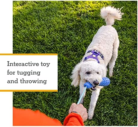 Ruffwear, Gourdo Dog Toy with Rope Handle, Heliotrope Purple, Large