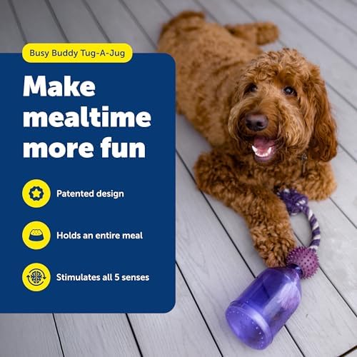 PetSafe Busy Buddy Tug-A-Jug Treat Dispensing Dog Toy, Medium/Large | Slow Feeder Toy Holds Kibble, Patented Treat Meter Dispenses Treats Randomly, Top-Rack Dishwasher Safe, for Dogs 40+ Lb
