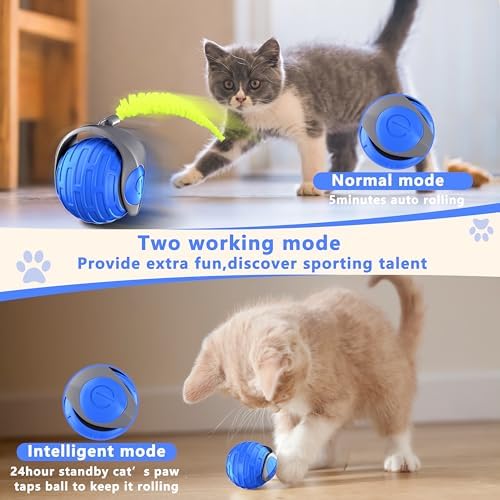 Cat Toys,Interactive Cat Toys Ball for Bored Indoor Cat,Blue
