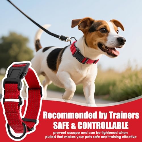Martingale Dog Collar, Reflective No Pull with Buckle, Red, M