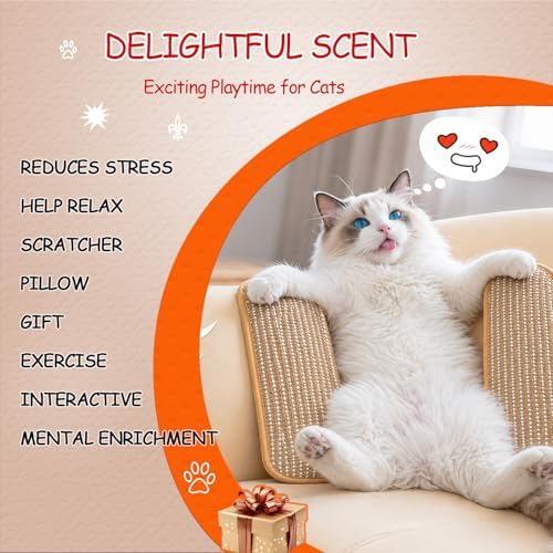 Cat Kicker Toys Pillow Sisal Catnip Cat Toys for Indoor Cat Kitten 3 Pack